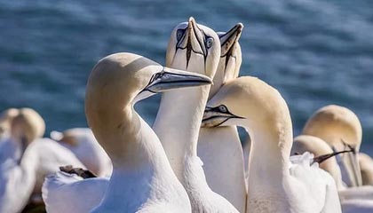 黔东高价上海医保提取2025的最新政策(2025年黔东上海医保怎么提取现金分享)