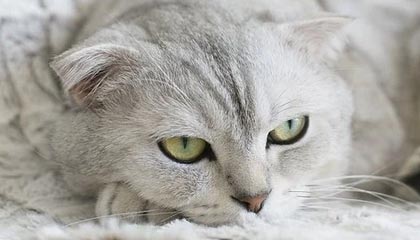 黔东上海医保套现联系方式的最新政策(2025年黔东上海医保套现论坛分享)