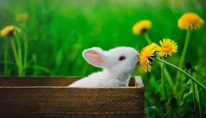 黔东医保现金报销多久到账的最新政策(2025年黔东医保报销的钱是现金还是打卡分享)